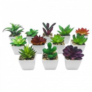 MACETA CON PLANTA 1710/03