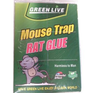 TRAMPA P/RATAS PEGAMENTO TG-3B